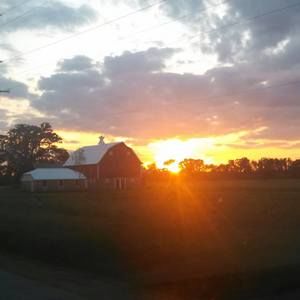 Meet your Posher, Bokaye